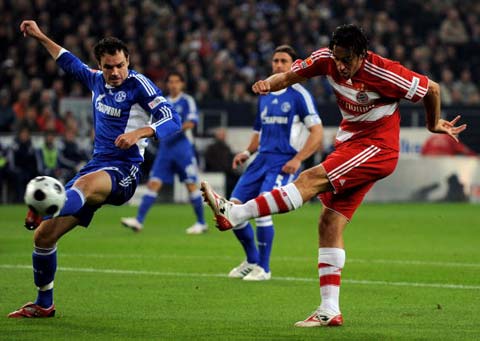 不仅增添了 不仅增添了